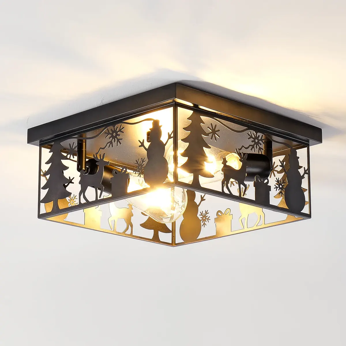 2-light flush mount (L037003-S290-C2B)