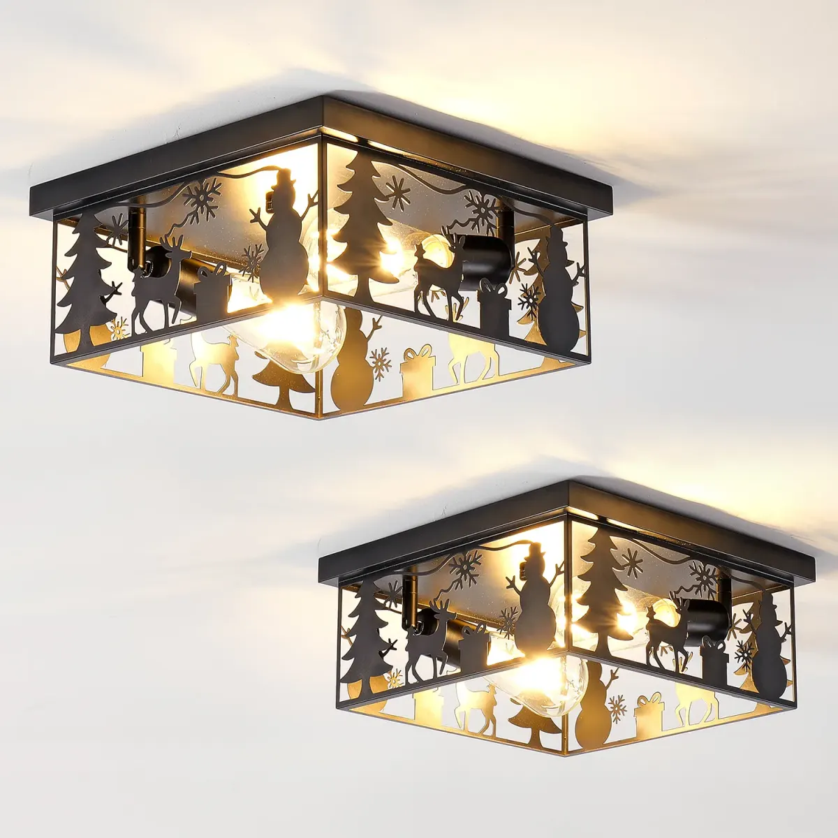 2-light flush mount (L037003-S290-C2B2)